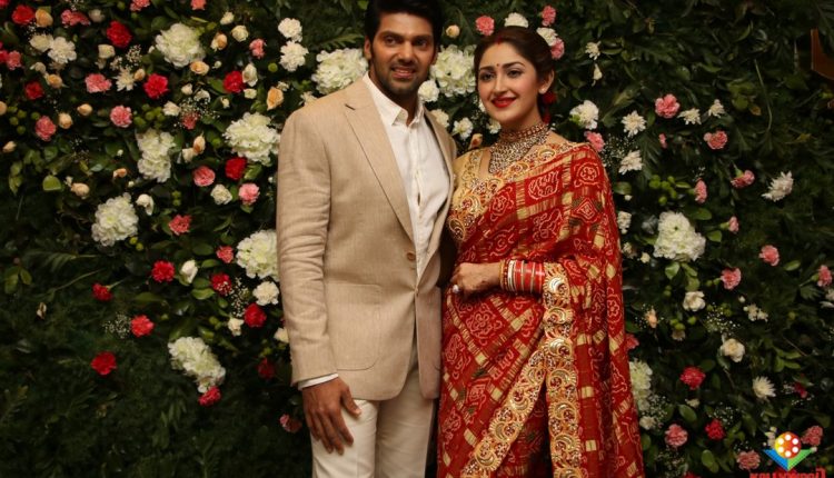 Arya Sayyeshaa Wedding (5)