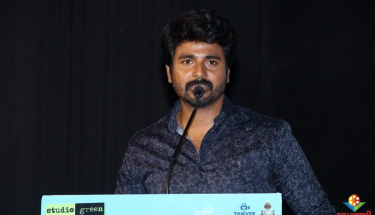 Mr Local (3)