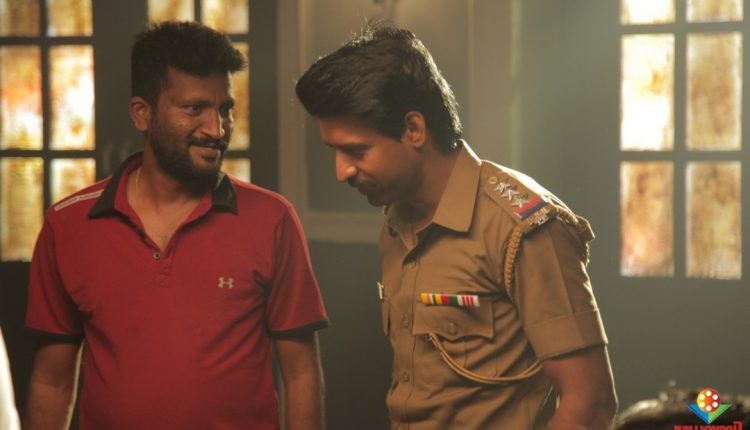 Angelina (8)